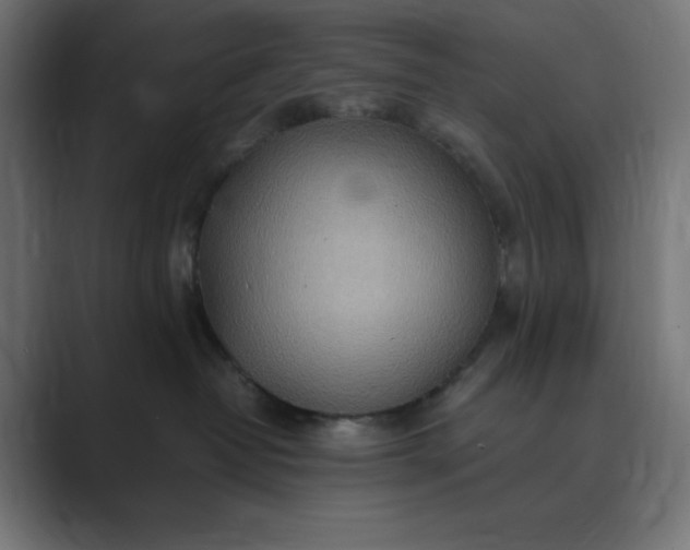 X0000089370382200706291251