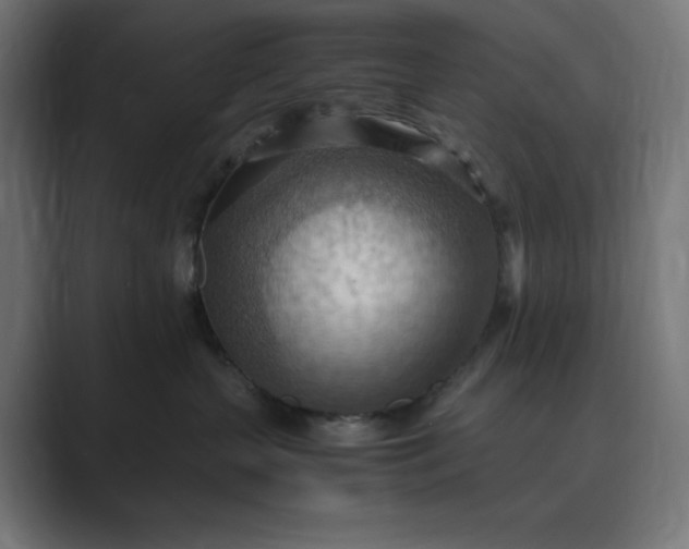 X0000089370383200706291251