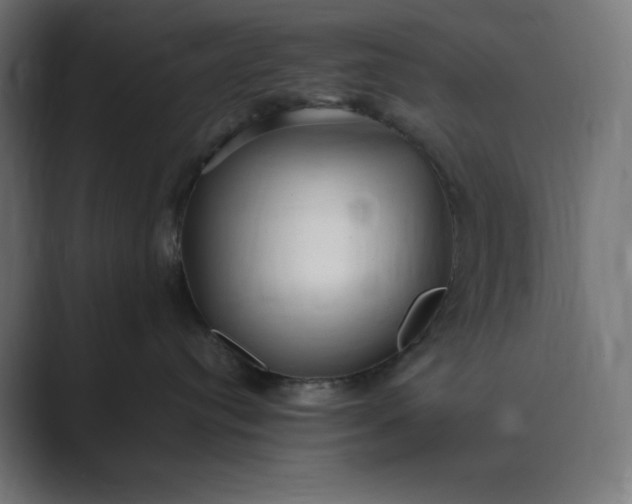 X0000089370384200706291251