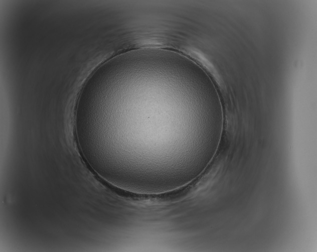X0000089370385200706291251