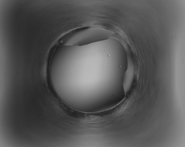 X0000089370387200706291251