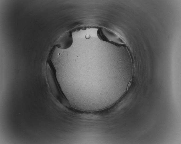 X0000089370389200706291251