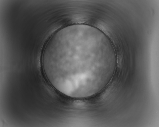 X0000089370390200706291251