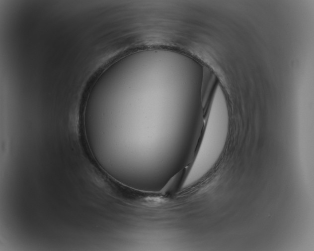 X0000089370391200706291251