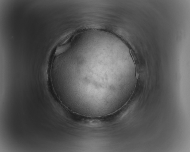 X0000089370395200706291251