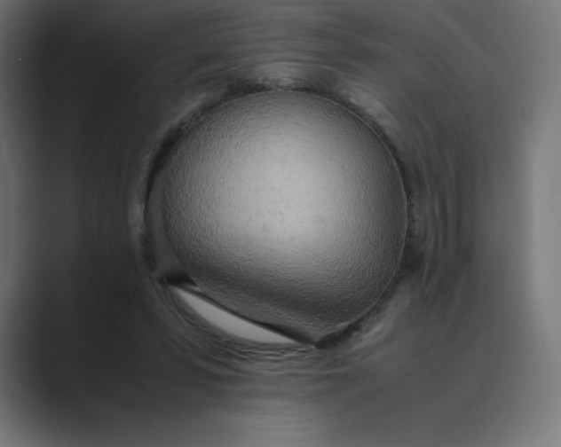 X0000089370399200706291251