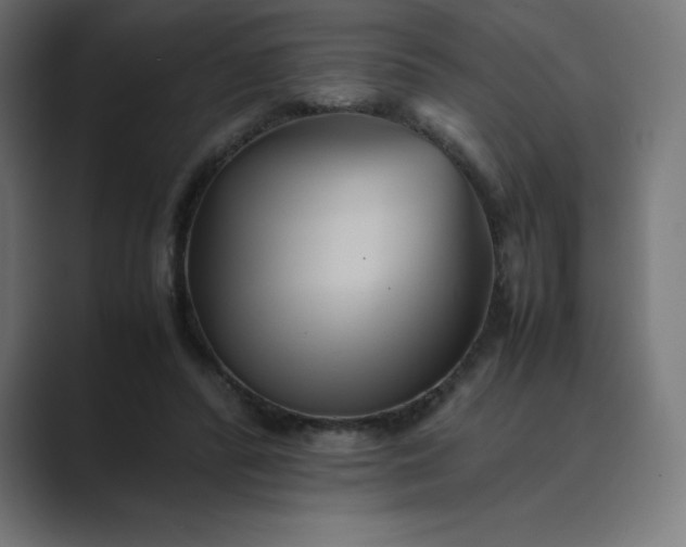 X0000089370400200706291251