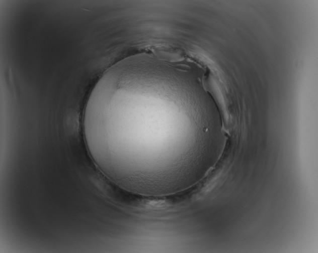 X0000089370401200706291251
