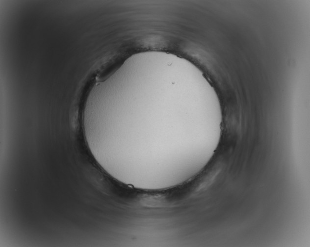 X0000089370403200706291251