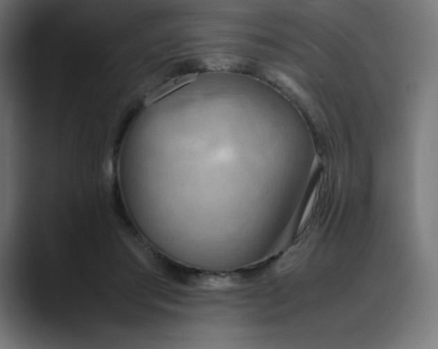 X0000089370405200706291251
