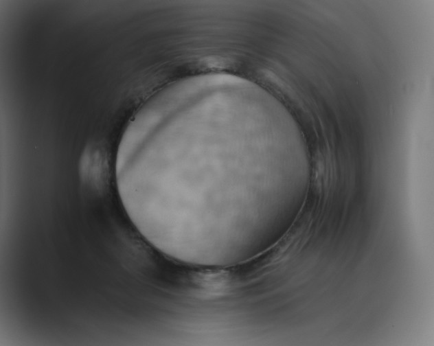 X0000089370410200706291251