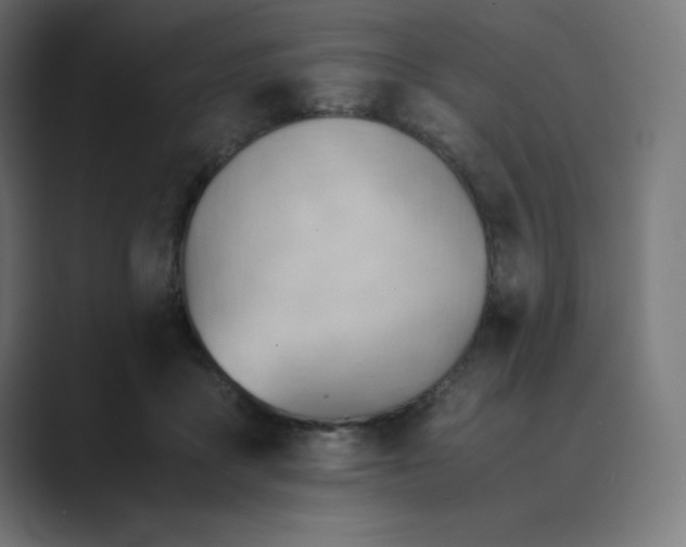 X0000089370411200706291251