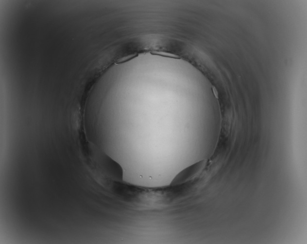 X0000089370413200706291251