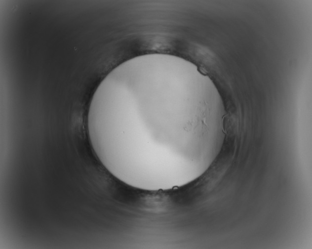X0000089370415200706291251