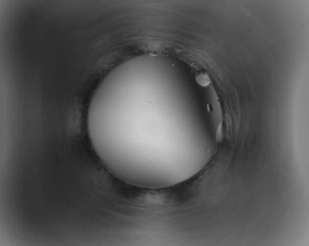 X0000089370416200706291251