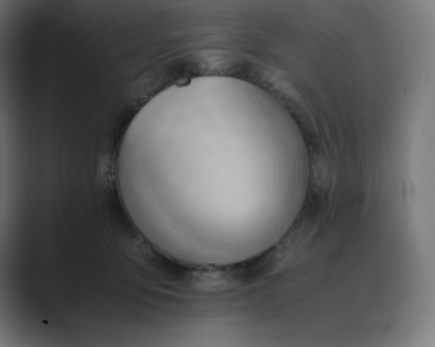X0000089370419200706291250
