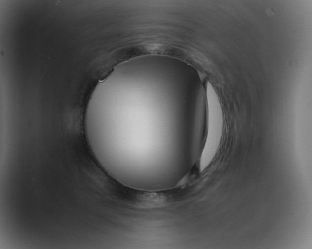 X0000089370421200706291250