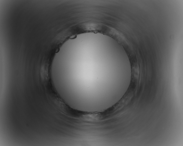 X0000089370422200706291250