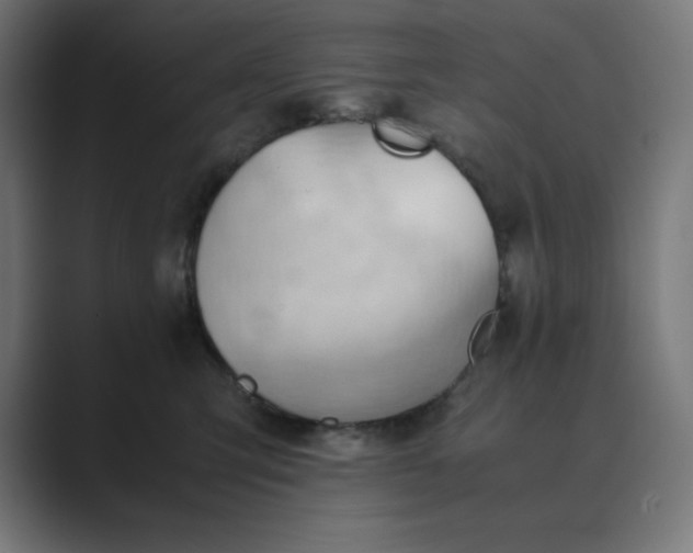 X0000089370423200706291250
