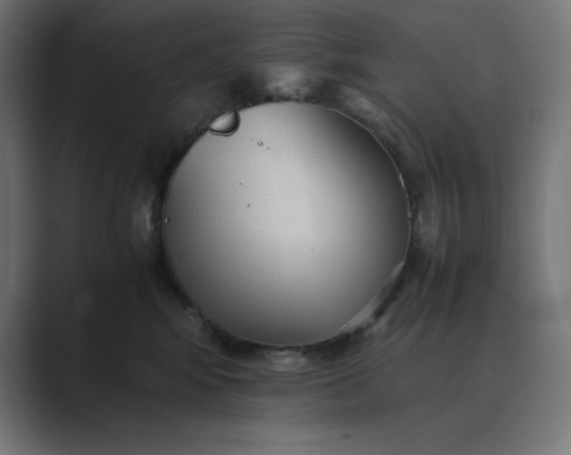 X0000089370424200706291250