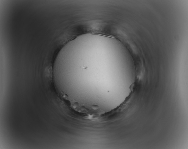X0000089370425200706291250