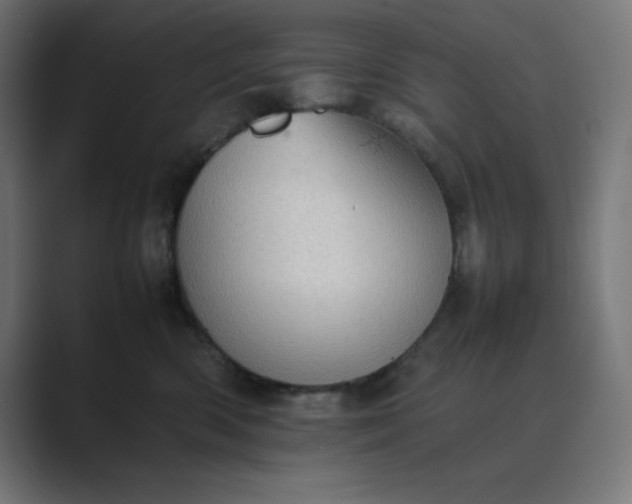 X0000089370426200706291250