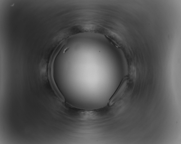 X0000089370428200706291250