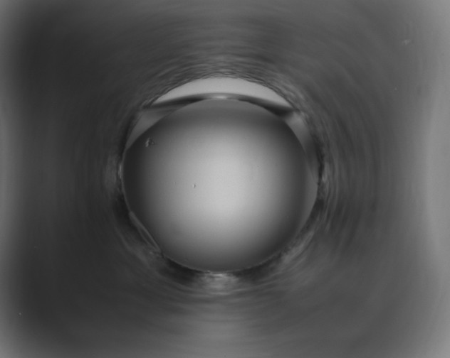 X0000089370429200706291250