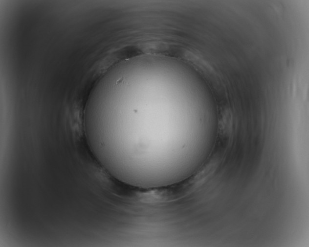 X0000089370430200706291250