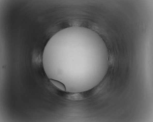 X0000089370431200706291250