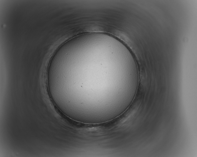 X0000089370433200706291250