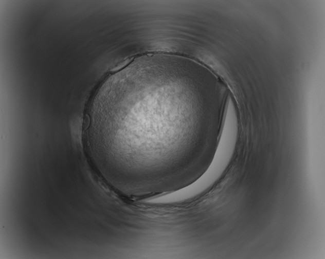 X0000089370434200706291250