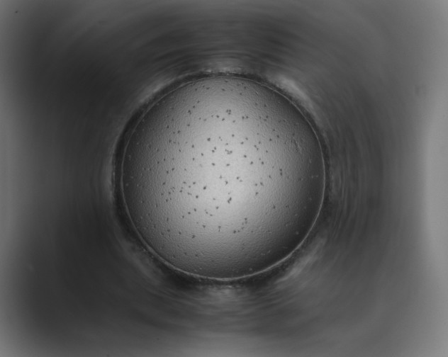 X0000089370439200706291250