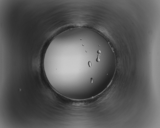 X0000089370440200706291250
