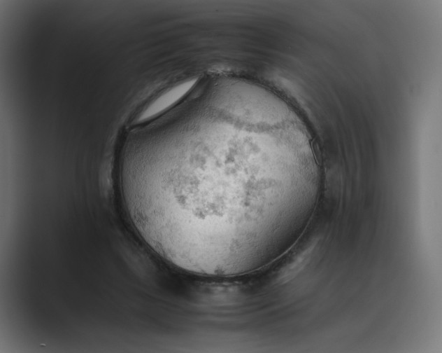 X0000089370443200706291250