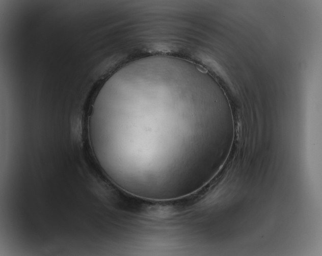 X0000089370444200706291250