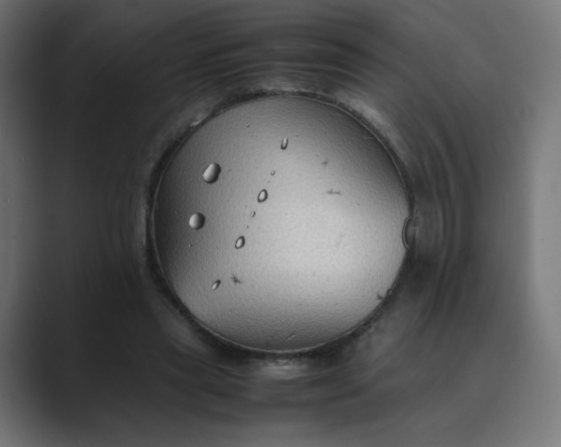 X0000089370445200706291250
