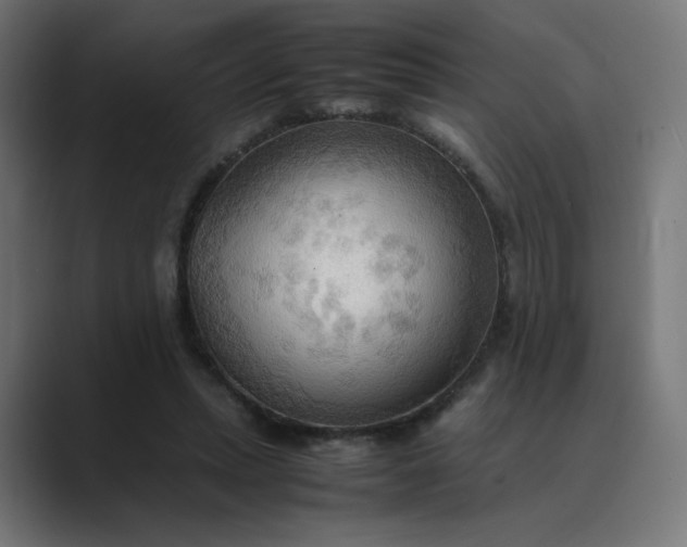 X0000089370447200706291250
