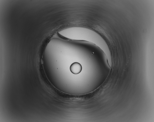 X0000089370448200706291250