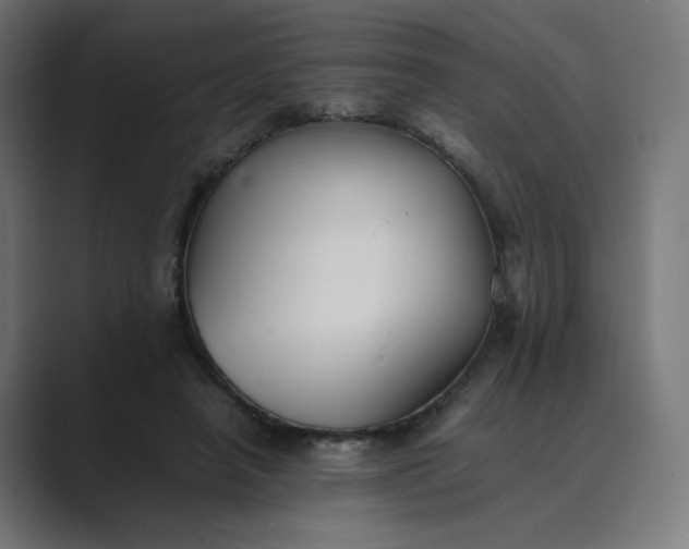 X0000089370450200706291250