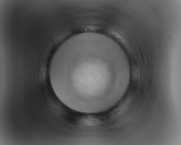 X0000089370451200706291250