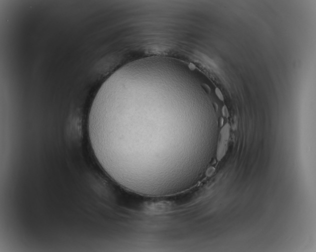 X0000089370452200706291250