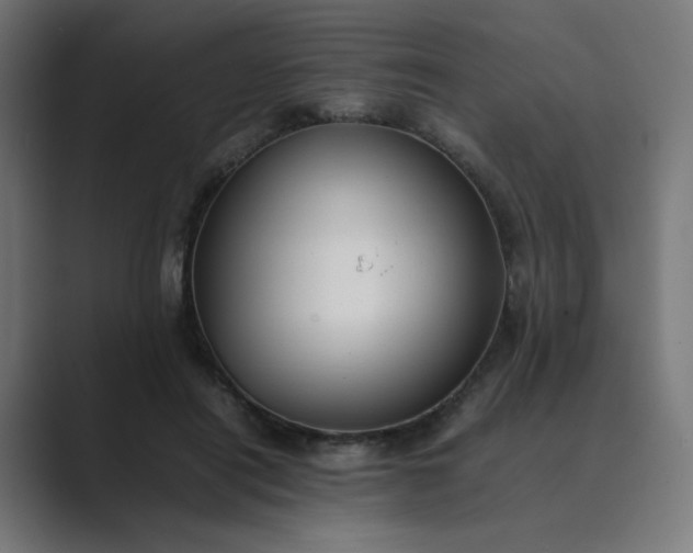 X0000089370454200706291250