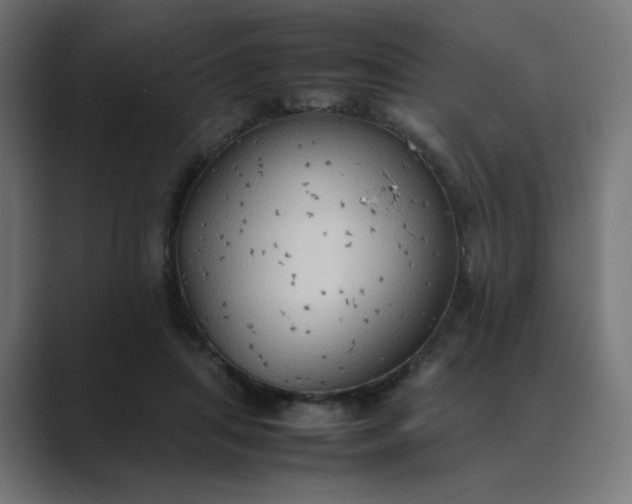X0000089370455200706291250
