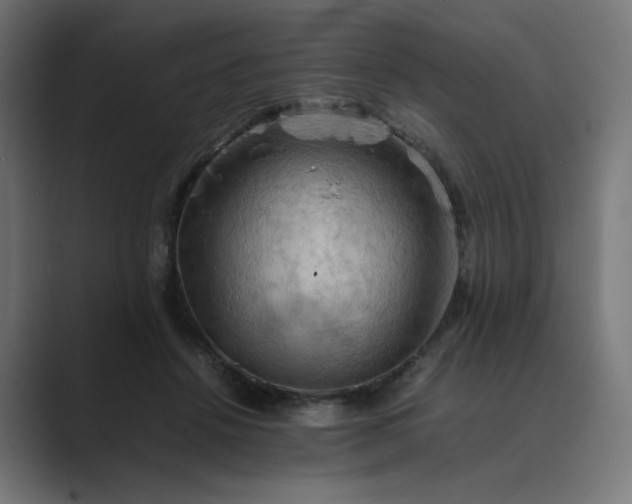 X0000089370456200706291250