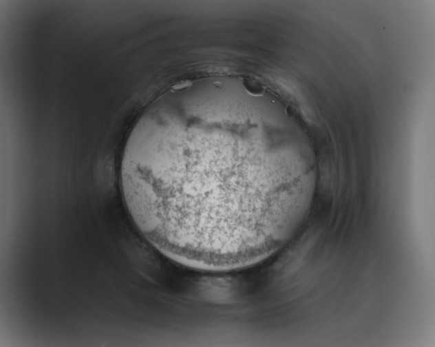 X0000089370457200706291250