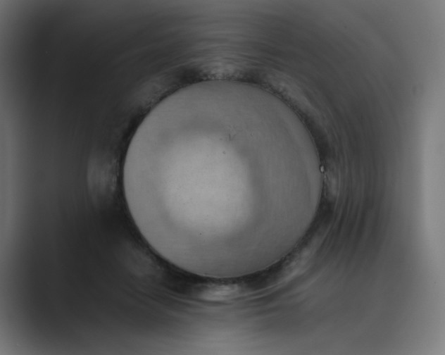 X0000089370458200706291250