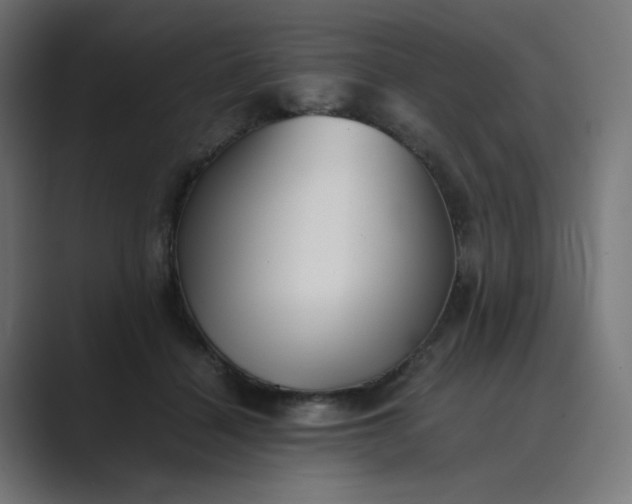 X0000089370460200706291250