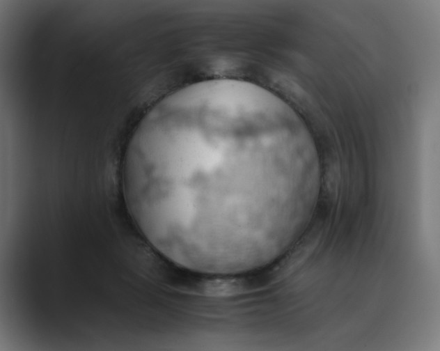 X0000089370461200706291250