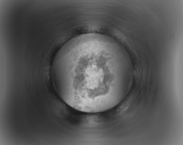X0000089370462200706291250